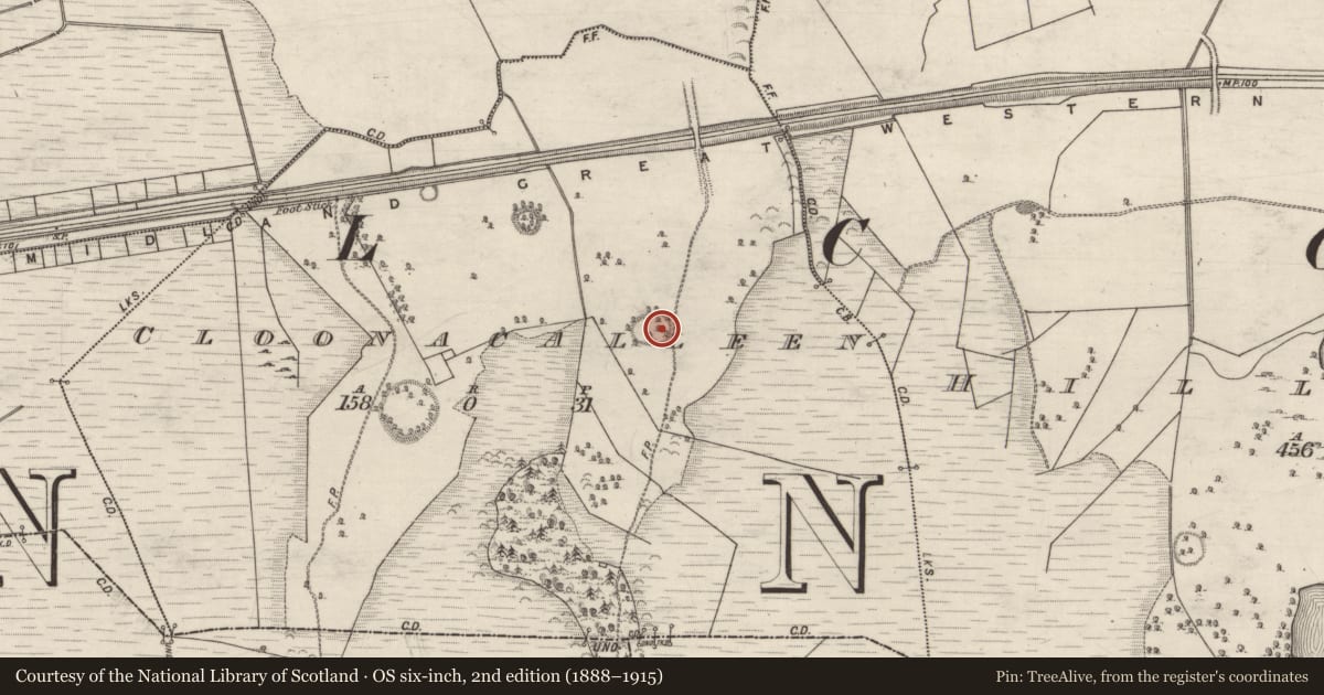 Ordnance Survey six-inch map, 2nd edition (1888–1915) covering the location of Souterrain, Cloonacalleen, County Galway, with a pin at the register's coordinates