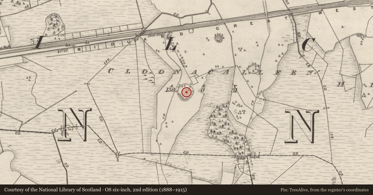 Ordnance Survey six-inch map, 2nd edition (1888–1915) covering the location of Ringfort - rath, Cloonacalleen, County Galway, with a pin at the register's coordinates