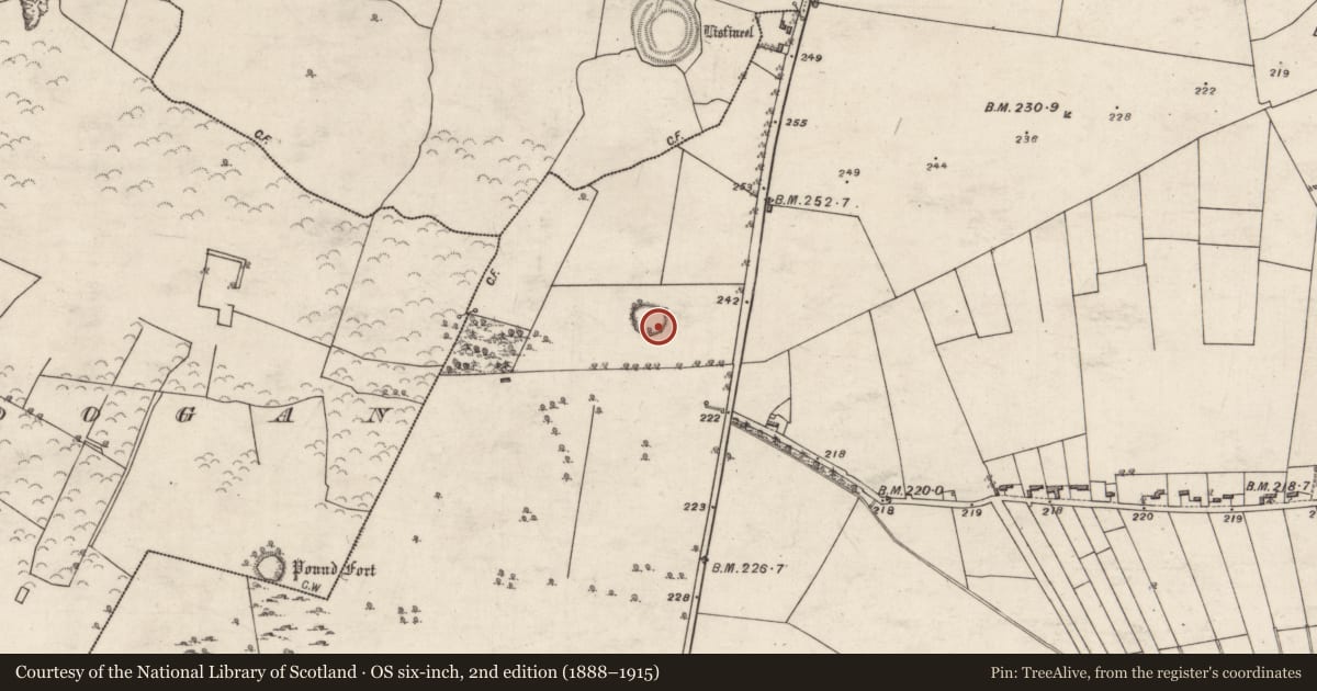 Ordnance Survey six-inch map, 2nd edition (1888–1915) covering the location of Ringfort - unclassified, Doon Upper, County Galway, with a pin at the register's coordinates