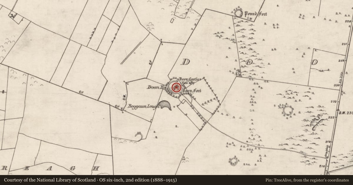 Ordnance Survey six-inch map, 2nd edition (1888–1915) covering the location of Castle - unclassified, Doon Upper, County Galway, with a pin at the register's coordinates