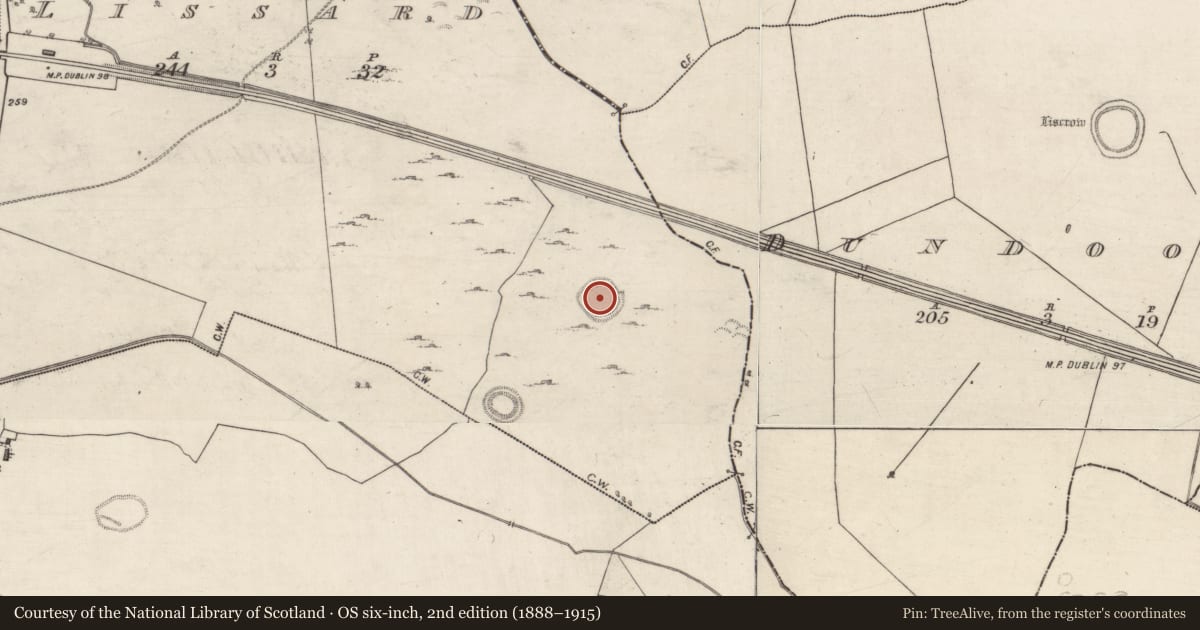 Ordnance Survey six-inch map, 2nd edition (1888–1915) covering the location of Ringfort - rath, Lissard, County Galway, with a pin at the register's coordinates