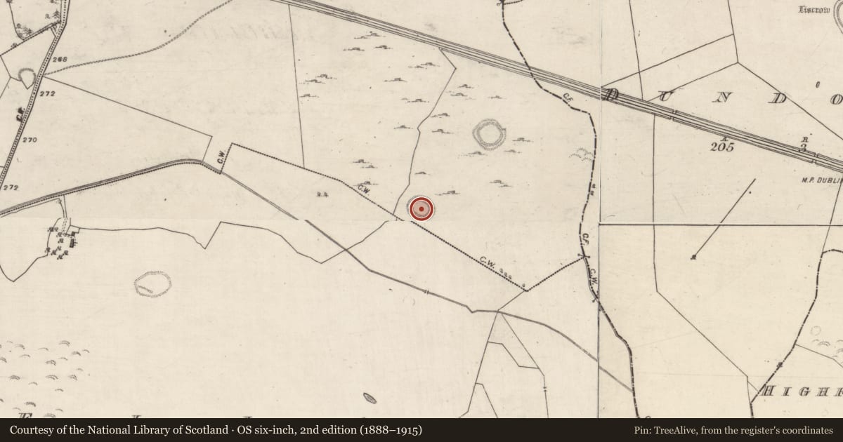 Ordnance Survey six-inch map, 2nd edition (1888–1915) covering the location of Ringfort - rath, Lissard, County Galway, with a pin at the register's coordinates
