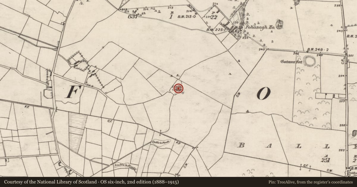 Ordnance Survey six-inch map, 2nd edition (1888–1915) covering the location of Graveyard, Fohanagh, County Galway, with a pin at the register's coordinates
