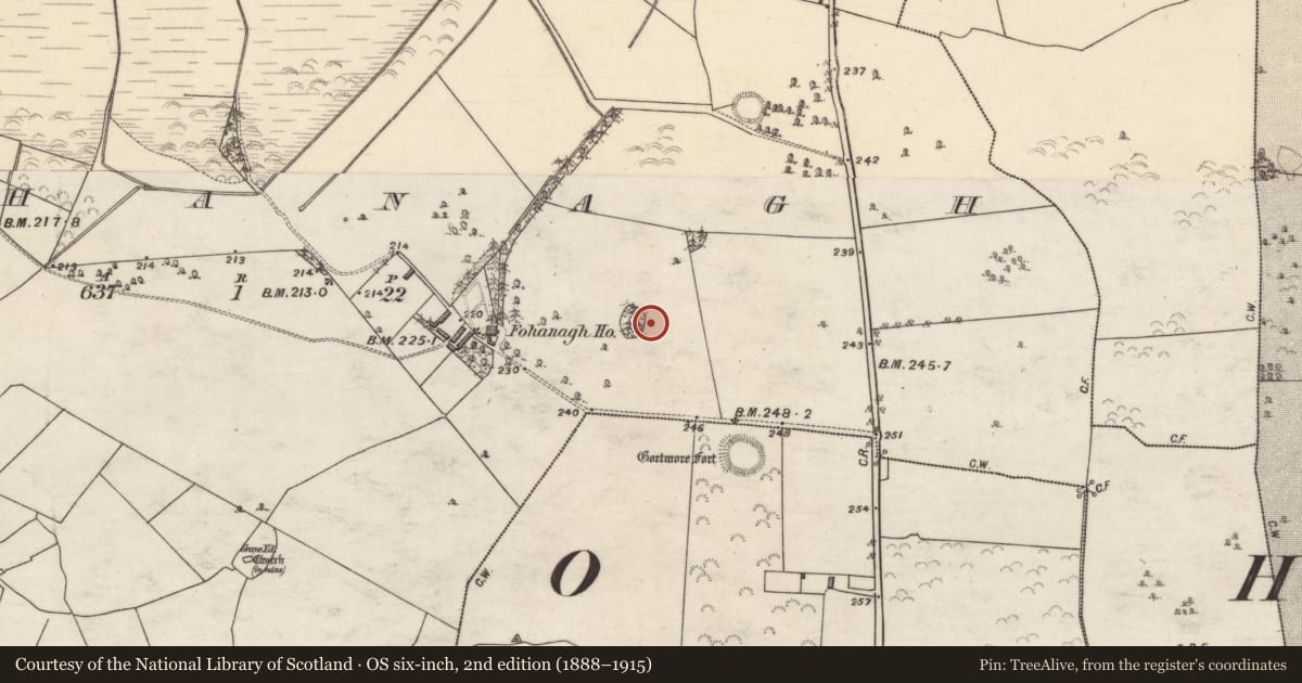 Ordnance Survey six-inch map, 2nd edition (1888–1915) covering the location of Designed landscape - tree-ring, Fohanagh, County Galway, with a pin at the register's coordinates