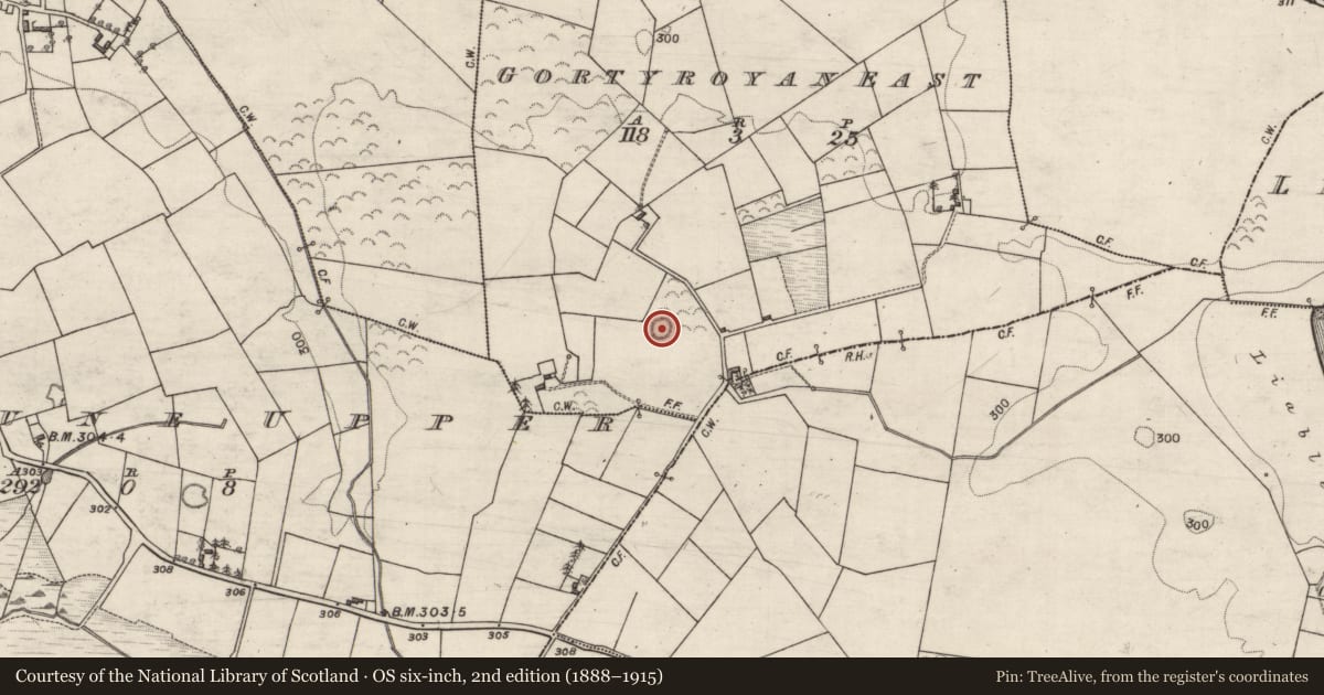 Ordnance Survey six-inch map, 2nd edition (1888–1915) covering the location of Barrow - unclassified, Gortroyan East, County Galway, with a pin at the register's coordinates