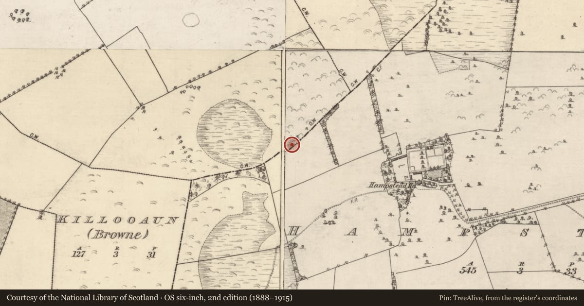 Ordnance Survey six-inch map, 2nd edition (1888–1915) covering the location of Souterrain, Hampstead, County Galway, with a pin at the register's coordinates
