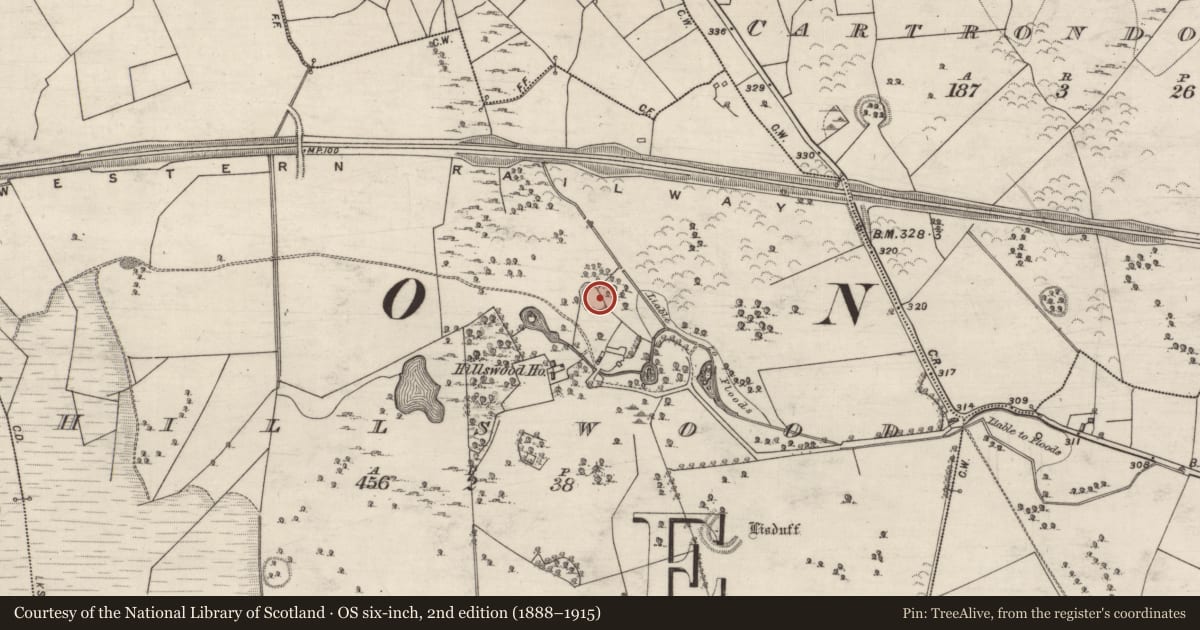 Ordnance Survey six-inch map, 2nd edition (1888–1915) covering the location of Souterrain, Hillswood, County Galway, with a pin at the register's coordinates