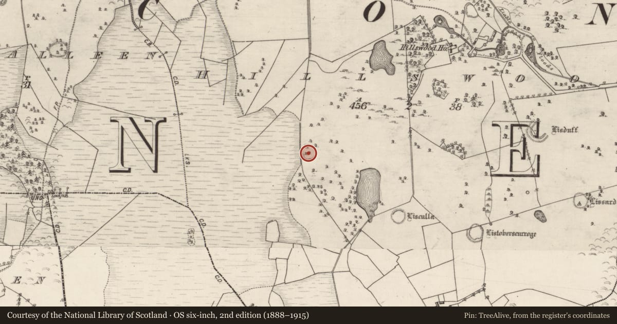 Ordnance Survey six-inch map, 2nd edition (1888–1915) covering the location of Ringfort - unclassified, Hillswood, County Galway, with a pin at the register's coordinates