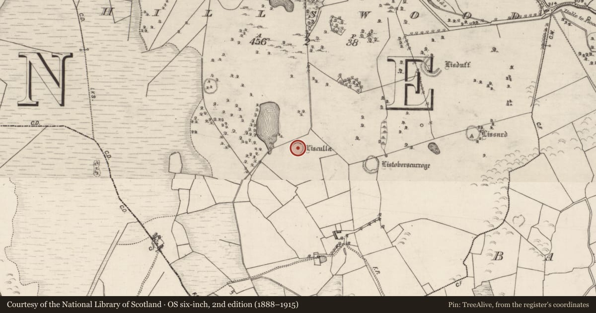 Ordnance Survey six-inch map, 2nd edition (1888–1915) covering the location of Ringfort - unclassified, Hillswood, County Galway, with a pin at the register's coordinates
