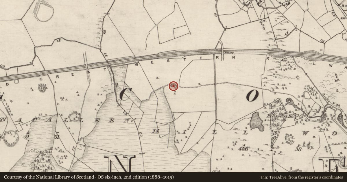 Ordnance Survey six-inch map, 2nd edition (1888–1915) covering the location of Quarry, Hillswood, County Galway, with a pin at the register's coordinates