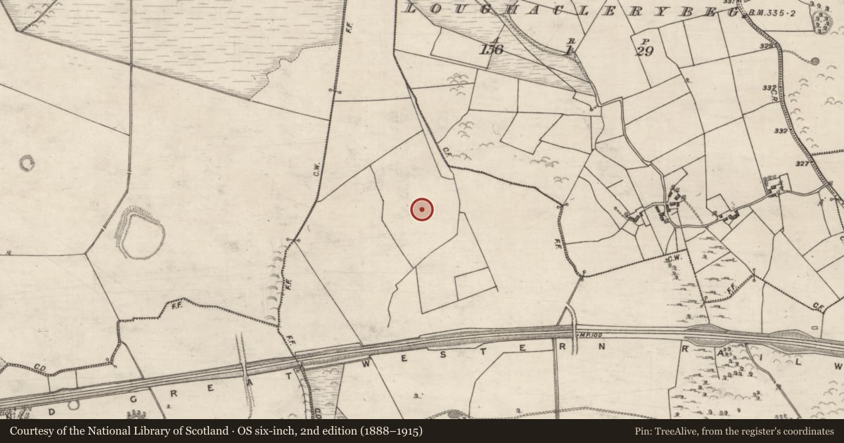 Ordnance Survey six-inch map, 2nd edition (1888–1915) covering the location of Enclosure, Hillswood, County Galway, with a pin at the register's coordinates