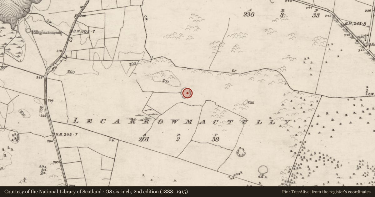 Ordnance Survey six-inch map, 2nd edition (1888–1915) covering the location of Ringfort - unclassified, Lecarrowmactully, County Galway, with a pin at the register's coordinates