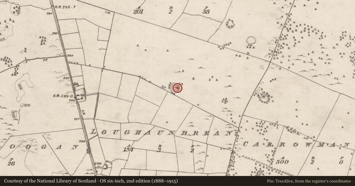 Ordnance Survey six-inch map, 2nd edition (1888–1915) covering the location of Ringfort - unclassified, Lecarrowmactully, County Galway, with a pin at the register's coordinates