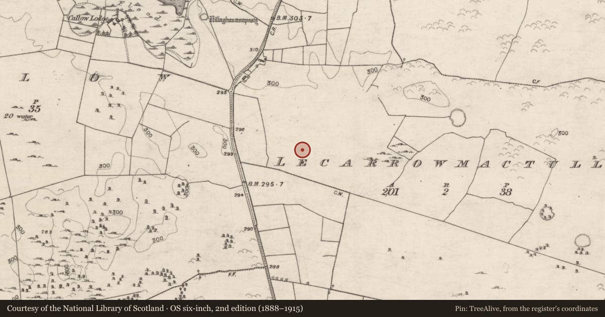 Ordnance Survey six-inch map, 2nd edition (1888–1915) covering the location of Ringfort - unclassified, Lecarrowmactully, County Galway, with a pin at the register's coordinates