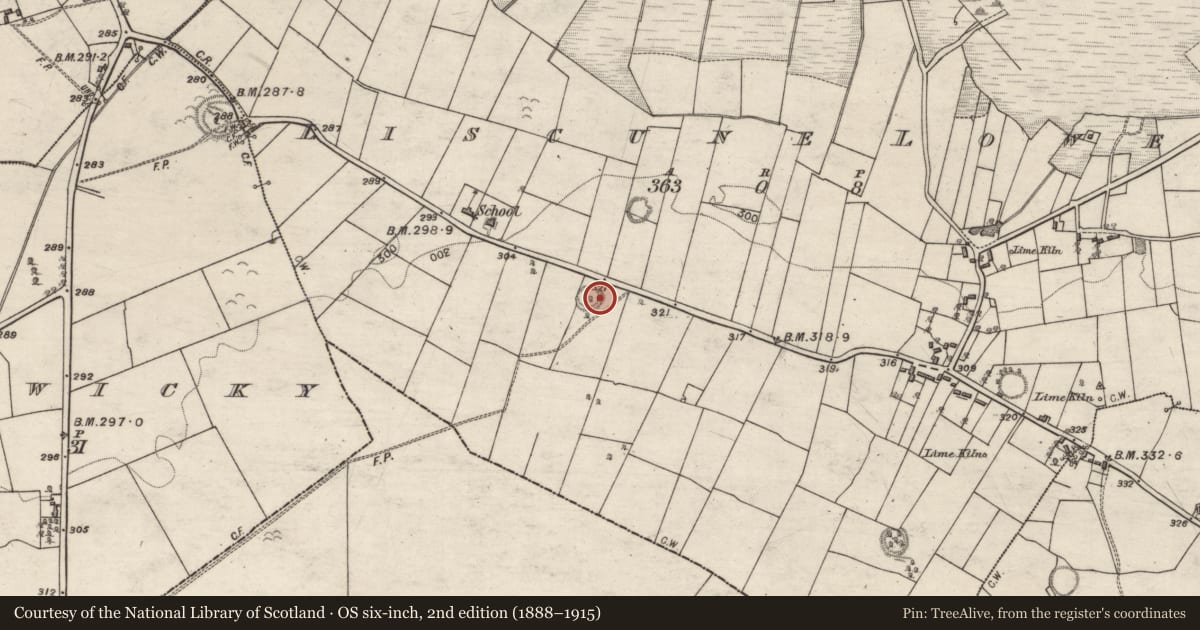 Ordnance Survey six-inch map, 2nd edition (1888–1915) covering the location of Souterrain, Liscune Lower, County Galway, with a pin at the register's coordinates
