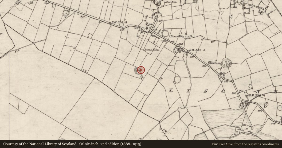 Ordnance Survey six-inch map, 2nd edition (1888–1915) covering the location of Ringfort - unclassified, Liscune Lower, County Galway, with a pin at the register's coordinates