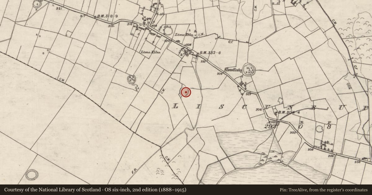 Ordnance Survey six-inch map, 2nd edition (1888–1915) covering the location of Ringfort - rath, Liscune Upper, County Galway, with a pin at the register's coordinates