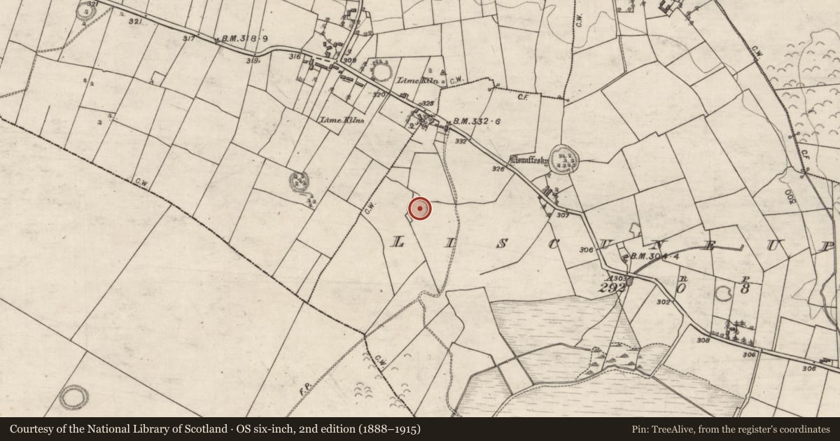Ordnance Survey six-inch map, 2nd edition (1888–1915) covering the location of Souterrain, Liscune Upper, County Galway, with a pin at the register's coordinates