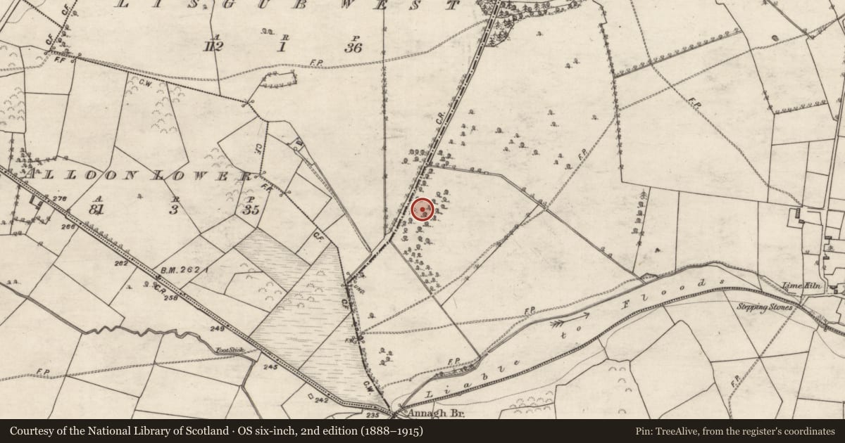 Ordnance Survey six-inch map, 2nd edition (1888–1915) covering the location of Designed landscape feature, Lisgub East, County Galway, with a pin at the register's coordinates