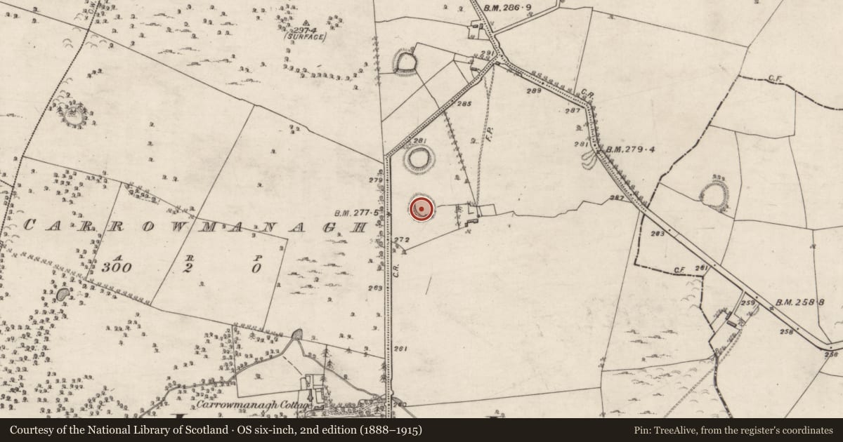 Ordnance Survey six-inch map, 2nd edition (1888–1915) covering the location of Souterrain, Lissard, County Galway, with a pin at the register's coordinates