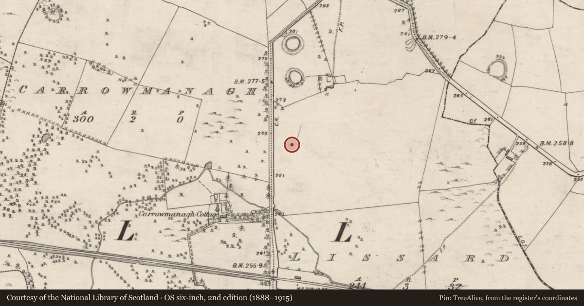 Ordnance Survey six-inch map, 2nd edition (1888–1915) covering the location of Children's burial ground, Lissard, County Galway, with a pin at the register's coordinates