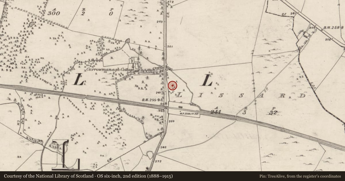 Ordnance Survey six-inch map, 2nd edition (1888–1915) covering the location of Ringfort - unclassified, Lissard, County Galway, with a pin at the register's coordinates