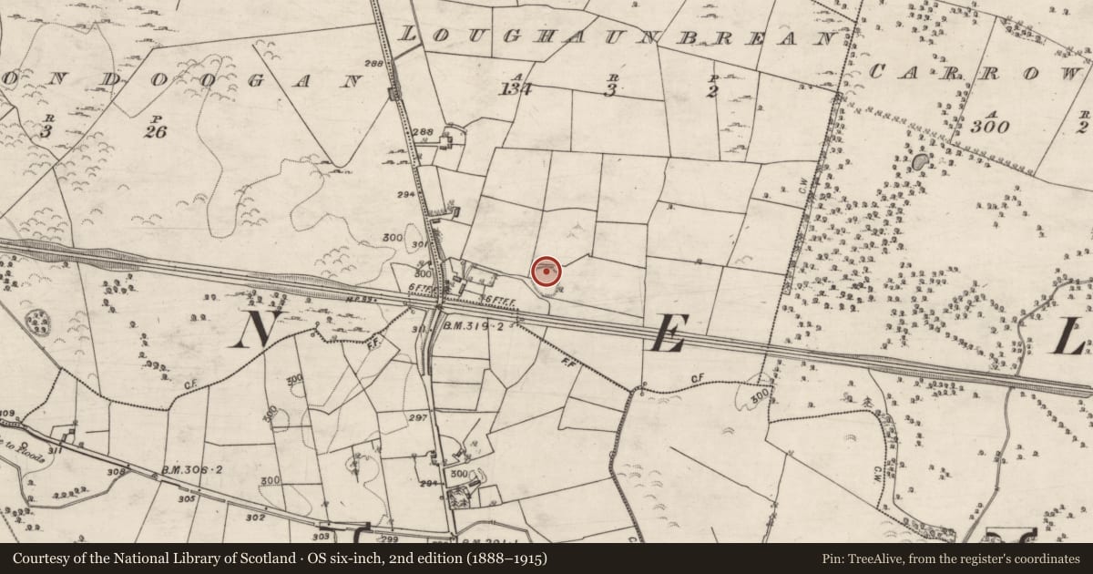 Ordnance Survey six-inch map, 2nd edition (1888–1915) covering the location of Souterrain, Loughaunbrean, County Galway, with a pin at the register's coordinates