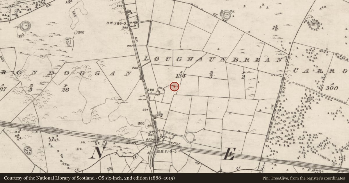 Ordnance Survey six-inch map, 2nd edition (1888–1915) covering the location of Quarry, Loughaunbrean, County Galway, with a pin at the register's coordinates