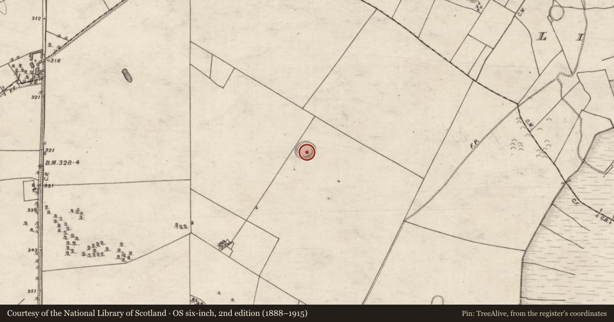 Ordnance Survey six-inch map, 2nd edition (1888–1915) covering the location of Souterrain, Moneyveen, County Galway, with a pin at the register's coordinates