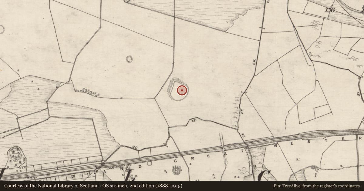 Ordnance Survey six-inch map, 2nd edition (1888–1915) covering the location of Enclosure - large enclosure, Moneyveen, County Galway, with a pin at the register's coordinates
