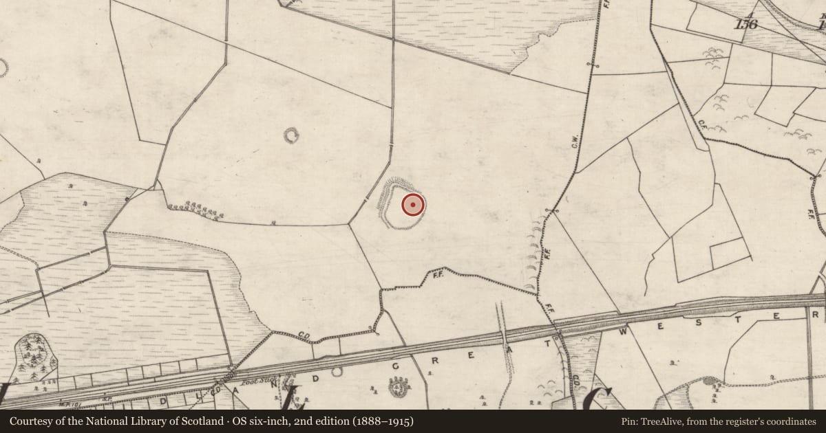 Ordnance Survey six-inch map, 2nd edition (1888–1915) covering the location of Children's burial ground, Moneyveen, County Galway, with a pin at the register's coordinates