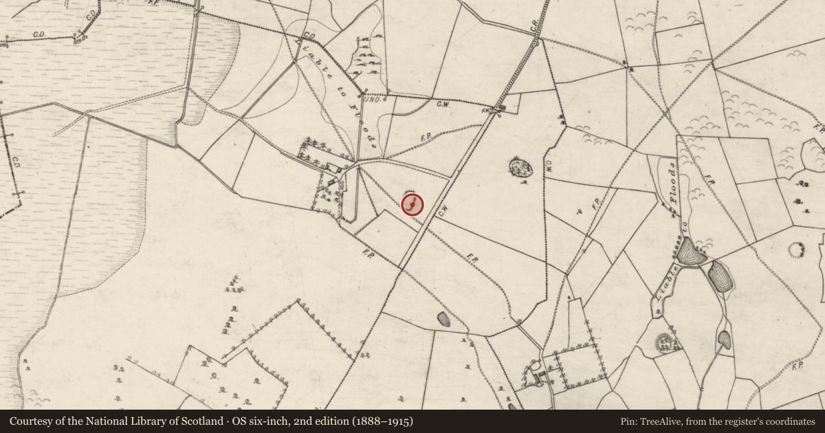 Ordnance Survey six-inch map, 2nd edition (1888–1915) covering the location of Enclosure, Moyarwood, County Galway, with a pin at the register's coordinates
