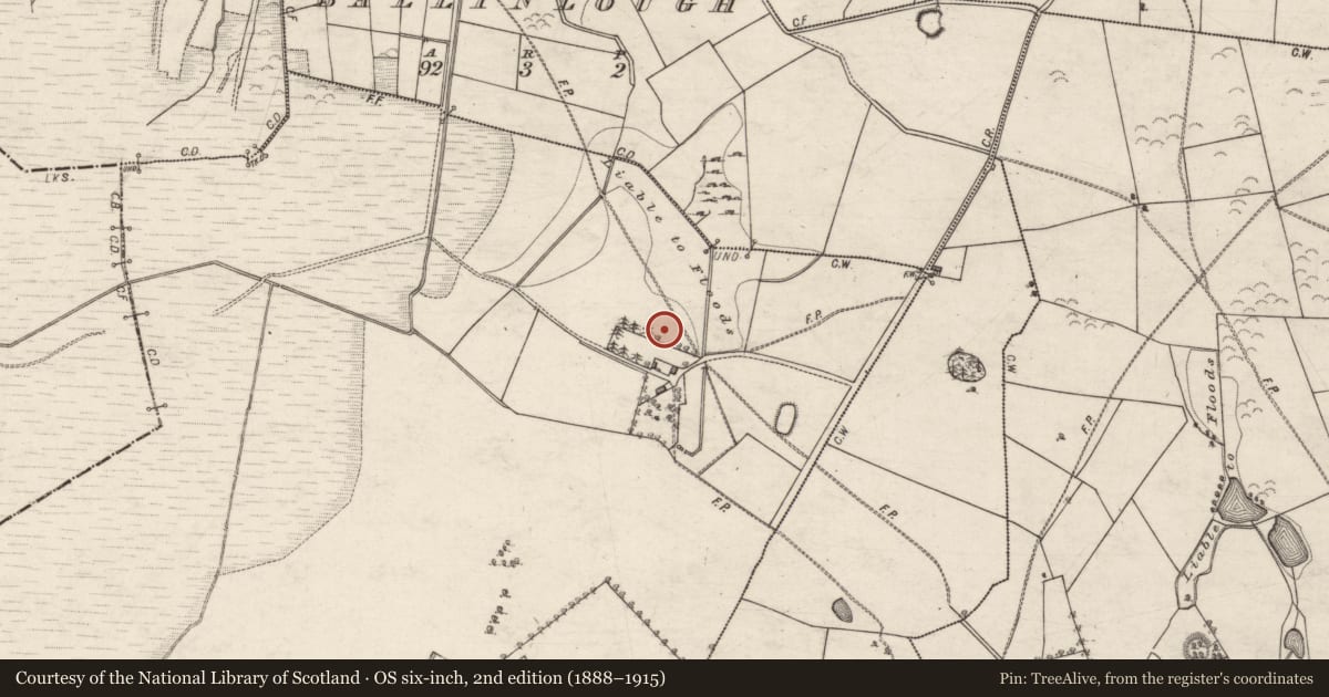 Ordnance Survey six-inch map, 2nd edition (1888–1915) covering the location of Quarry, Moyarwood, County Galway, with a pin at the register's coordinates