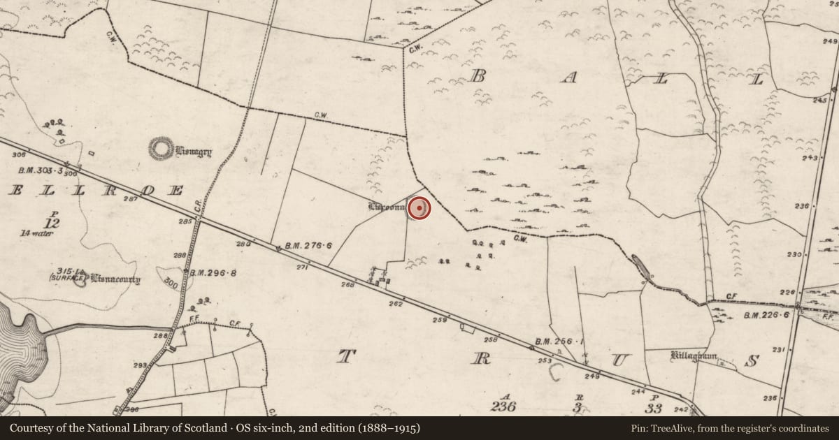 Ordnance Survey six-inch map, 2nd edition (1888–1915) covering the location of Ringfort - unclassified, Trust, County Galway, with a pin at the register's coordinates