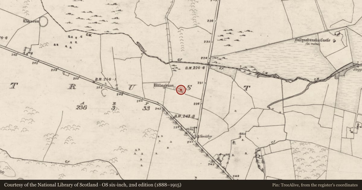 Ordnance Survey six-inch map, 2nd edition (1888–1915) covering the location of Children's burial ground, Trust, County Galway, with a pin at the register's coordinates
