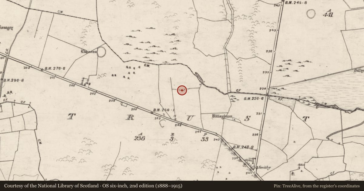 Ordnance Survey six-inch map, 2nd edition (1888–1915) covering the location of Quarry, Trust, County Galway, with a pin at the register's coordinates