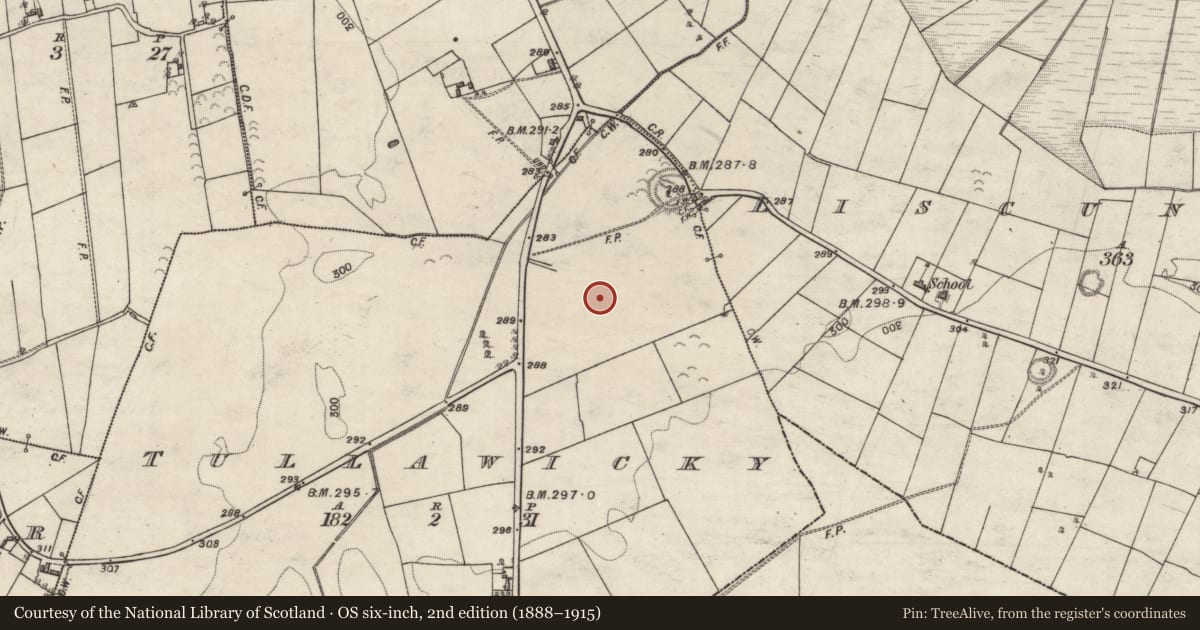 Ordnance Survey six-inch map, 2nd edition (1888–1915) covering the location of Quarry, Tullawicky, County Galway, with a pin at the register's coordinates