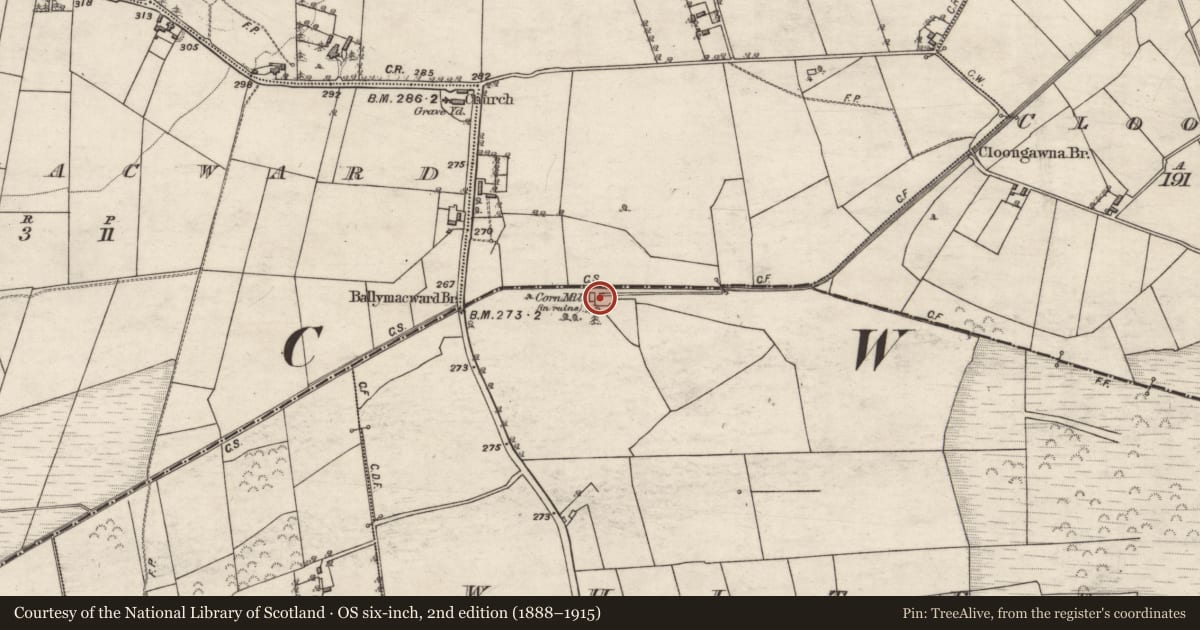 Ordnance Survey six-inch map, 2nd edition (1888–1915) covering the location of Mill - corn, Whitepark, County Galway, with a pin at the register's coordinates