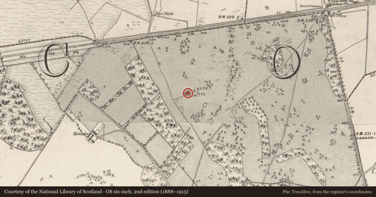 Ordnance Survey six-inch map, 2nd edition (1888–1915) covering the location of Kiln - lime, Woodlawn, County Galway, with a pin at the register's coordinates