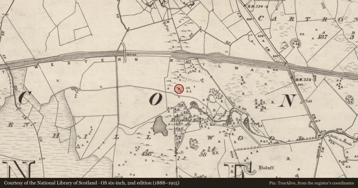 Ordnance Survey six-inch map, 2nd edition (1888–1915) covering the location of Mound, Hillswood, County Galway, with a pin at the register's coordinates