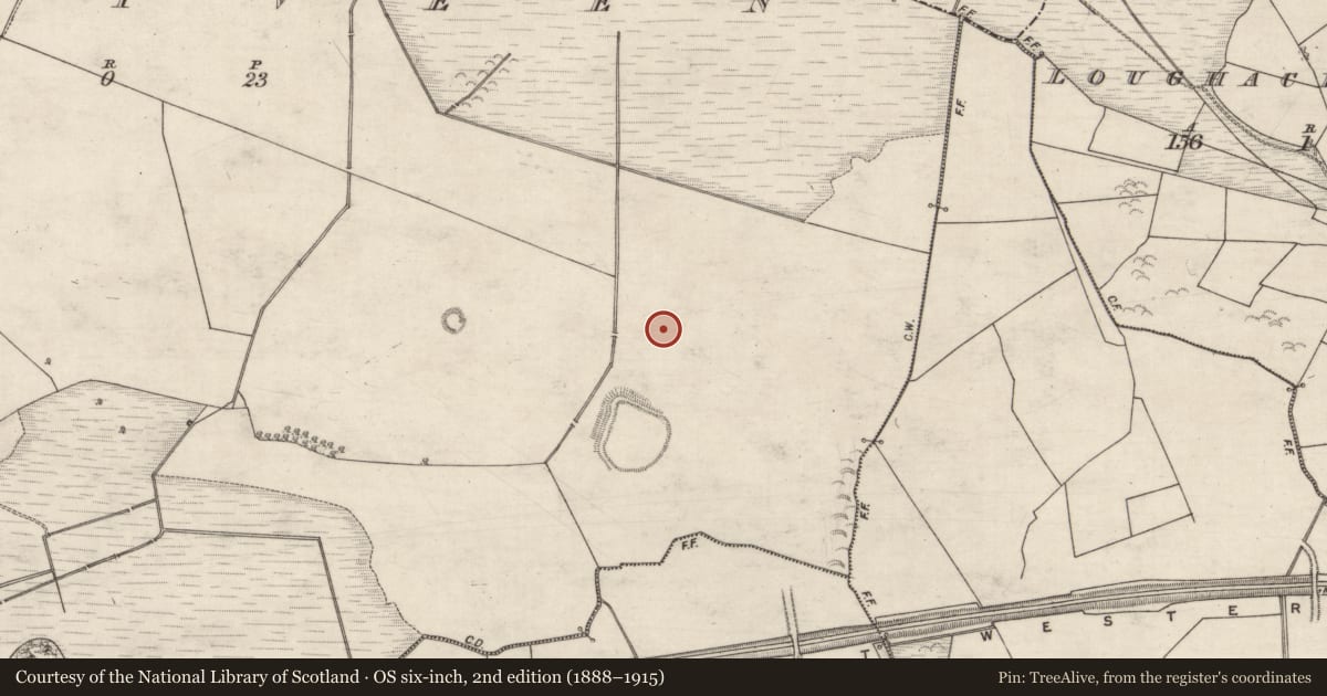 Ordnance Survey six-inch map, 2nd edition (1888–1915) covering the location of Ringfort - rath, Moneyveen, County Galway, with a pin at the register's coordinates