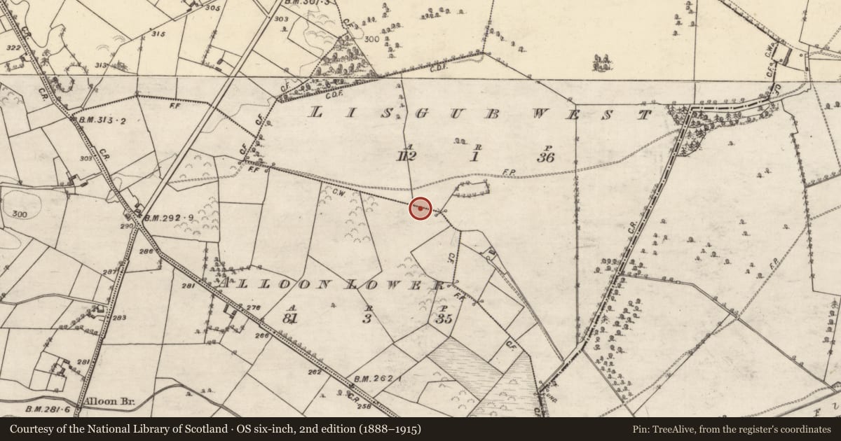 Ordnance Survey six-inch map, 2nd edition (1888–1915) covering the location of Enclosure, Alloon Lower, Lisgub West, County Galway, with a pin at the register's coordinates