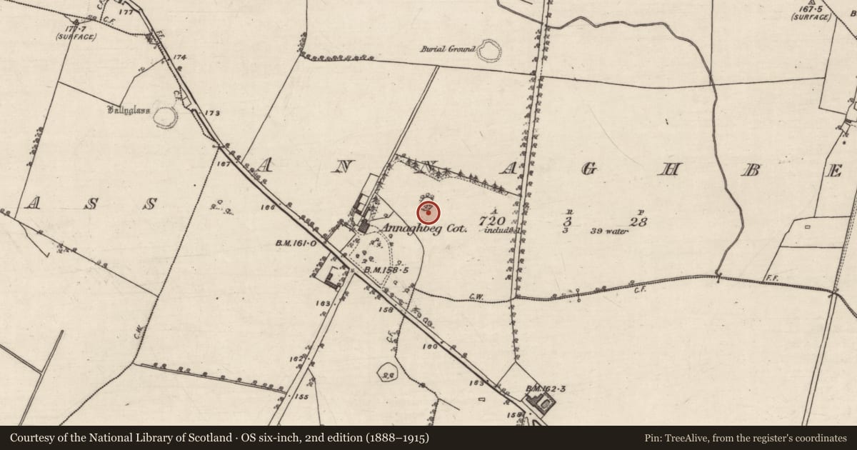 Ordnance Survey six-inch map, 2nd edition (1888–1915) covering the location of Ringfort - rath, Annaghbeg, County Galway, with a pin at the register's coordinates