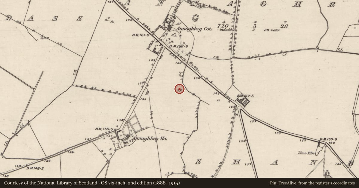 Ordnance Survey six-inch map, 2nd edition (1888–1915) covering the location of Ringfort - unclassified, Annaghbeg, County Galway, with a pin at the register's coordinates
