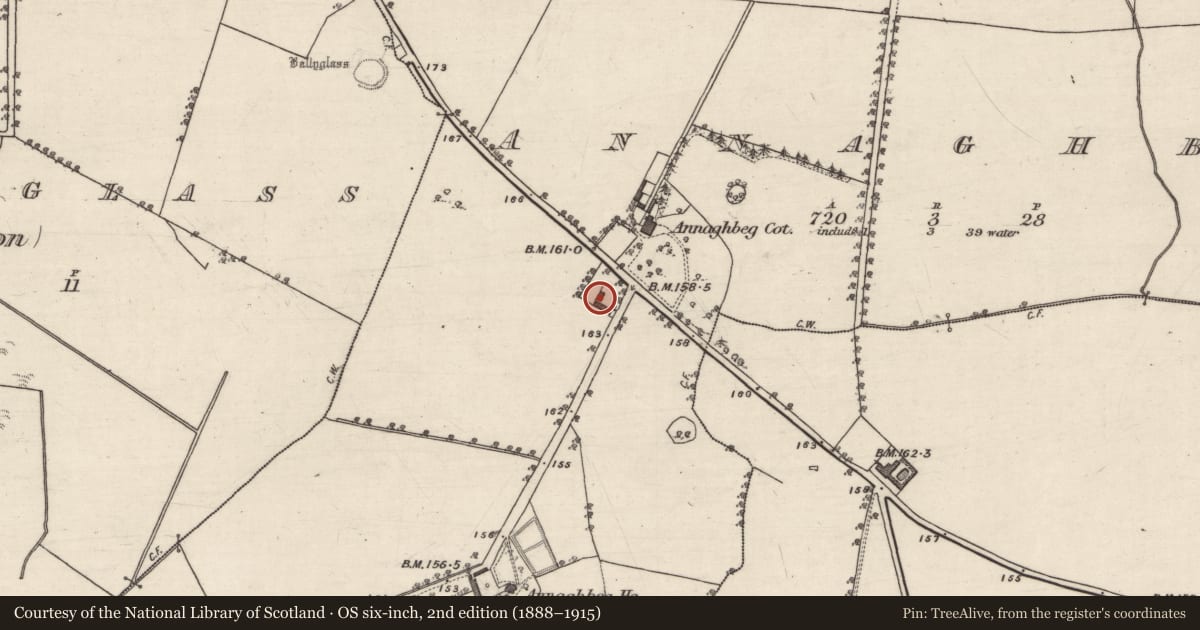 Ordnance Survey six-inch map, 2nd edition (1888–1915) covering the location of Building, Annaghbeg, County Galway, with a pin at the register's coordinates