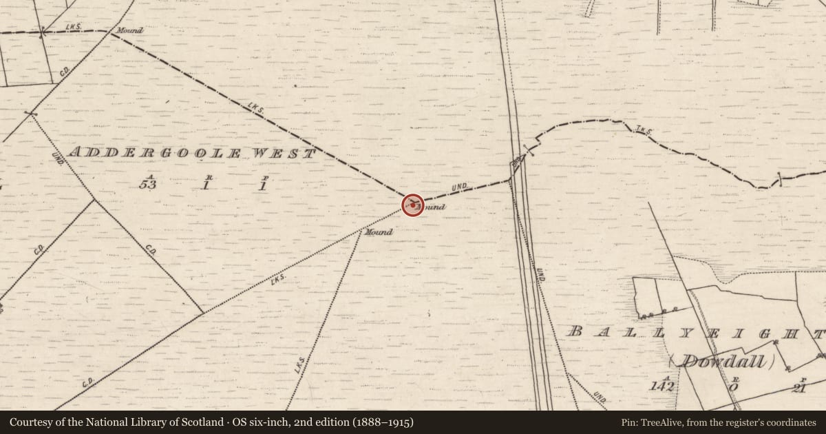 Ordnance Survey six-inch map, 2nd edition (1888–1915) covering the location of Boundary mound, County Galway, with a pin at the register's coordinates
