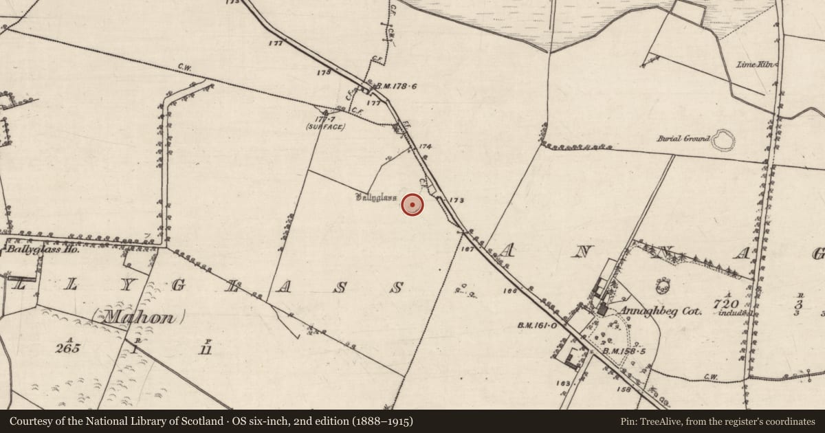 Ordnance Survey six-inch map, 2nd edition (1888–1915) covering the location of Enclosure, Ballyglass (Mahon), County Galway, with a pin at the register's coordinates
