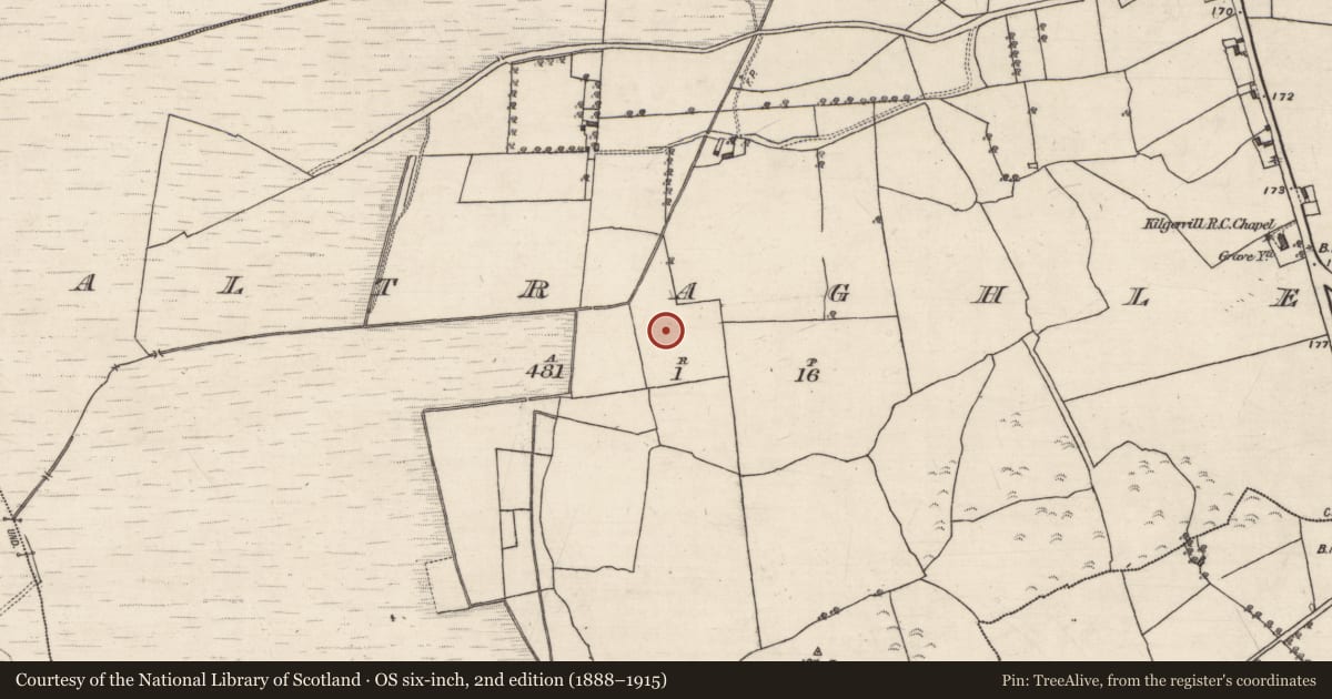 Ordnance Survey six-inch map, 2nd edition (1888–1915) covering the location of Ringfort - unclassified, Caltraghlea, County Galway, with a pin at the register's coordinates