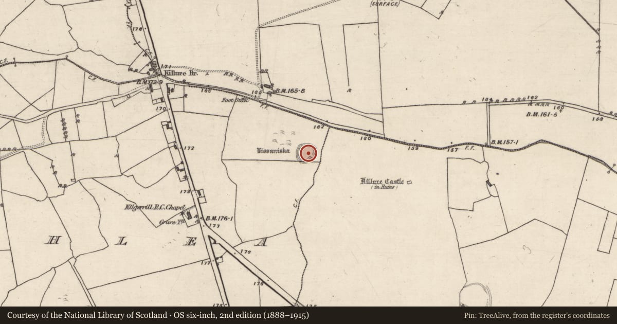 Ordnance Survey six-inch map, 2nd edition (1888–1915) covering the location of Children's burial ground, Caltraghlea, County Galway, with a pin at the register's coordinates