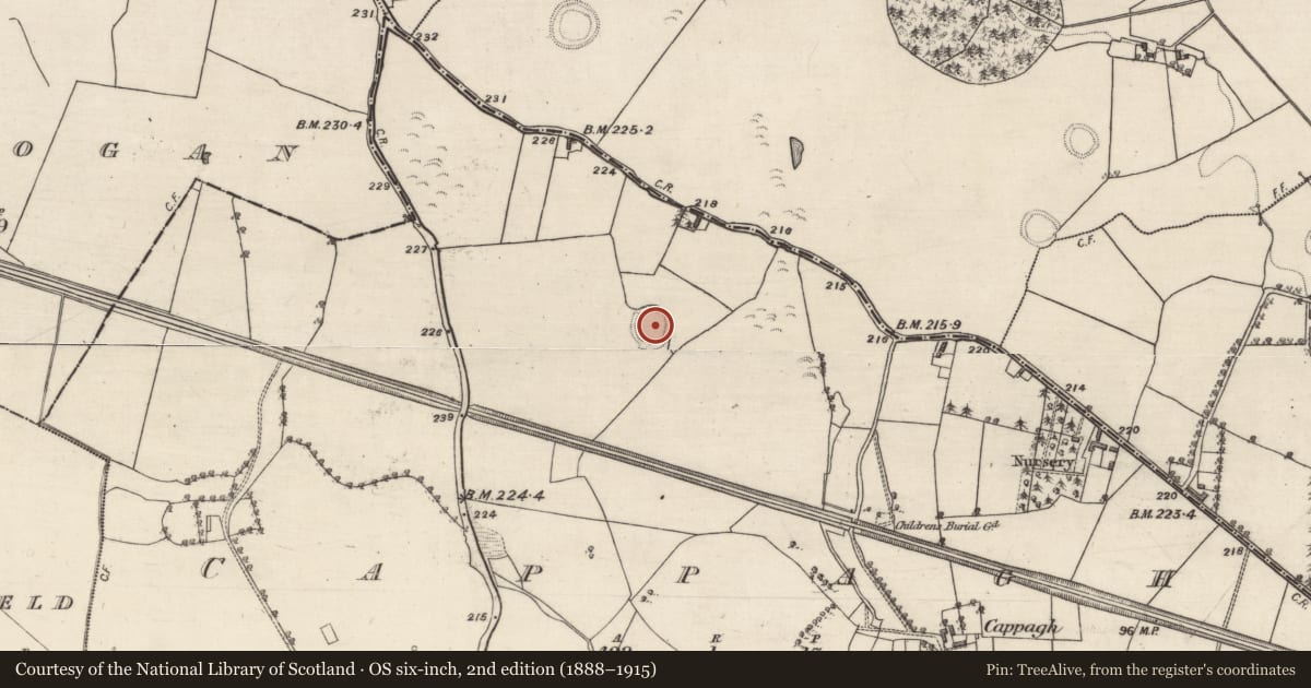 Ordnance Survey six-inch map, 2nd edition (1888–1915) covering the location of Souterrain, Cappagh, County Galway, with a pin at the register's coordinates